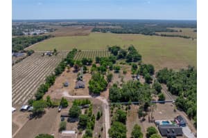 38824 RAISER ROAD, DADE CITY, FL 33525 Sold 09/05/25