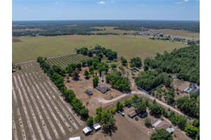 38824 RAISER ROAD, DADE CITY, FL 33525 Sold 09/05/25