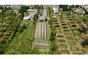 11101 SUMNER ROAD, WIMAUMA, FL 33598 - MLS#MFRTB8382051