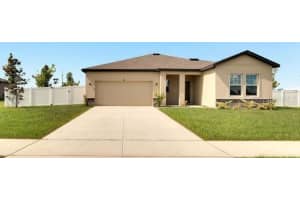 1418 Bluejack Oak Dr, SEFFNER