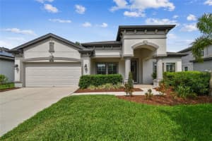 8320 BLUEVINE SKY DRIVE, LAND O LAKES, FL 34637 Sold 06/16/25