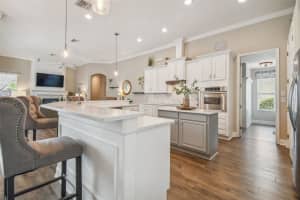 26701 WINGED ELM DRIVE, WESLEY CHAPEL, FL 33544 Sold 07/10/25