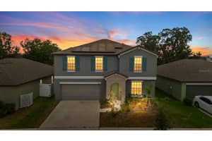 13380 GREAT PLAINS DRIVE, RIVERVIEW, FL 33579 - MLS#MFRTB8382163