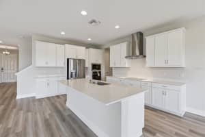 9699 SURREY ROSE DRIVE, SAN ANTONIO, FL 33576 - MLS#MFRTB8382226