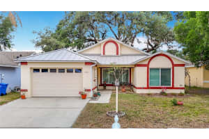 1432 Windjammer Pl, VALRICO