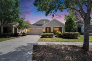 9023 Sienna Moss Ln, RIVERVIEW