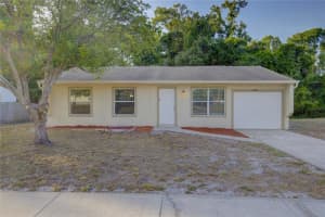 10319 Widgeon Way, NEW PORT RICHEY