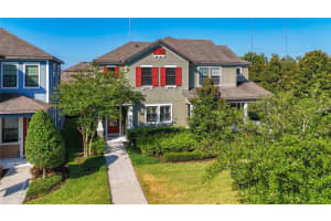 5807 Circa Fishhawk Blvd, LITHIA