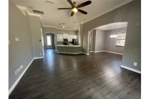 12256 CREEK PRESERVE DRIVE, RIVERVIEW, FL 33579 - MLS#MFRTB8382325