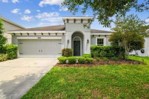 8228 Sunlit Horizon Ln, LAND O LAKES