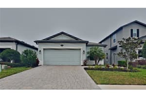 20092 Stone Pine Cir, LUTZ