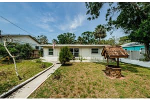 306 BANANA STREET, TARPON SPRINGS, FL 34689 - MLS#MFRTB8382399