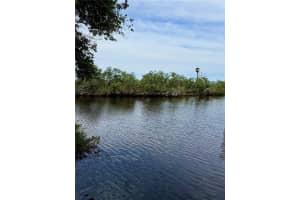 1055 RUSHMORE DRIVE, HOLIDAY, FL 34690 Sold 06/04/25