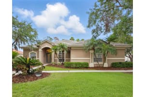 10232 Estuary Dr, TAMPA