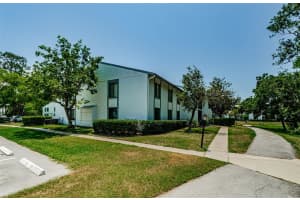 1290 PINE RIDGE CIRCLE, TARPON SPRINGS, FL 34688 - MLS#MFRTB8382447