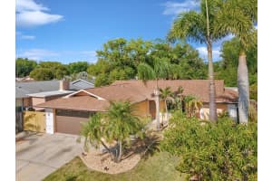 4519 SWALLOWTAIL DRIVE, NEW PORT RICHEY, FL 34653 - MLS#MFRTB8382458