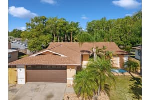 4519 SWALLOWTAIL DRIVE, NEW PORT RICHEY, FL 34653 - MLS#MFRTB8382458