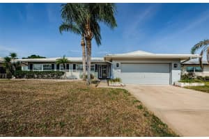 4704 Shale Pl, TAMPA