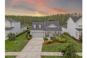 15170 AVILES PARKWAY, ODESSA, FL 33556 Sold 06/13/25