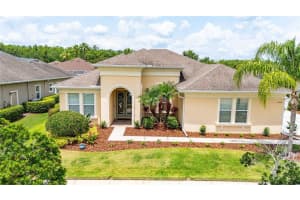 3227 Watermark Dr, WESLEY CHAPEL