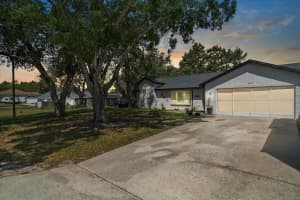 12493 Fish Cove Dr, SPRING HILL