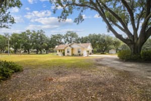 1202 WILLIAMS ROAD, PLANT CITY, FL 33565 - MLS#MFRTB8382650