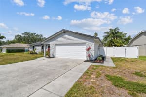 507 HAMMOCK DRIVE, PALM HARBOR, FL 34683 Sold 06/16/25