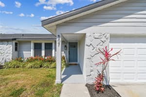 507 HAMMOCK DRIVE, PALM HARBOR, FL 34683 Sold 06/16/25