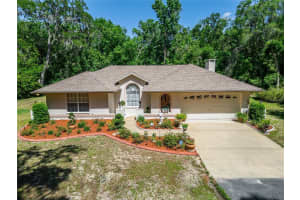11120 Lu Wista Ln, BROOKSVILLE