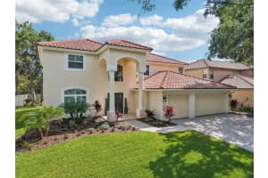 9203 Meadow Lane Ct, TAMPA