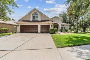 6038 PALOMAGLADE DRIVE, LITHIA, FL 33547 Sold 09/12/25