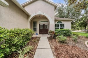 6038 PALOMAGLADE DRIVE, LITHIA, FL 33547 Sold 09/12/25