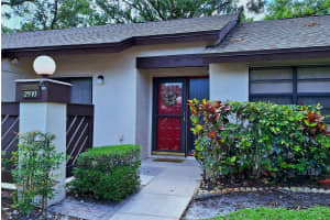 2910 STAR APPLE COURT, PALM HARBOR, FL 34684 - MLS#MFRTB8382789