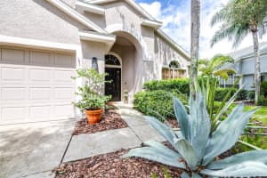 10357 LIGHTNER BRIDGE DRIVE, TAMPA, FL 33626 Sold 06/25/25