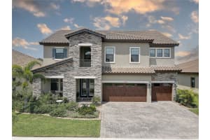 11222 HAWKS FERN DRIVE, RIVERVIEW, FL 33569 - MLS#MFRTB8382808