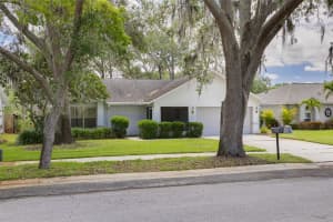 3569 Oak Lake Dr, PALM HARBOR