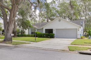 3569 OAK LAKE DRIVE, PALM HARBOR, FL 34684 - MLS#MFRTB8382827