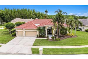 19107 Avenue Bayonnes, LUTZ