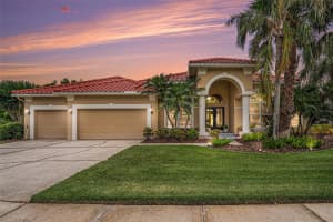 19107 AVENUE BAYONNES, LUTZ, FL 33558 - MLS#MFRTB8382846
