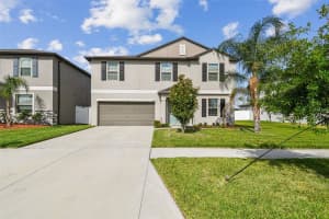 13529 WILD GINGER STREET, RIVERVIEW, FL 33579 - MLS#MFRTB8382900