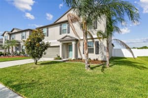 13529 WILD GINGER STREET, RIVERVIEW, FL 33579 - MLS#MFRTB8382900