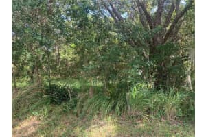 0 HAIG STREET, LAKE WALES, FL 33898 - MLS#MFRTB8382960