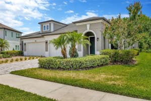 4551 Barletta Ct, WESLEY CHAPEL