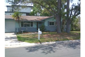 212 DRIFTWOOD PLACE, PALM HARBOR, FL 34683 - MLS#MFRTB8383010