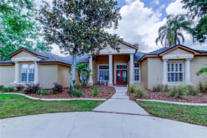 15302 LAKE MAURINE DRIVE, ODESSA, FL 33556 Sold 06/27/25