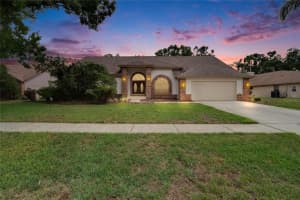 2413 Buckhorn Run Dr, VALRICO