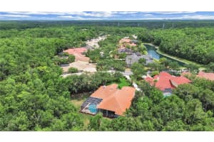 16343 BURNISTON DRIVE, TAMPA, FL 33647 Sold 08/15/25