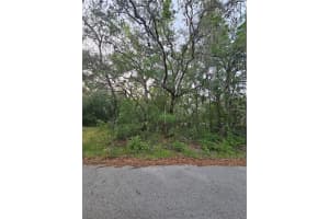 00 DOAKS STREET, NEW PORT RICHEY, FL 34654 - MLS#MFRTB8383088