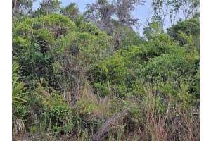 00 POPPY STREET, NEW PORT RICHEY, FL 34654 - MLS#MFRTB8383091