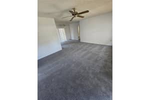 809 GREEN VALLEY ROAD, PALM HARBOR, FL 34683 - MLS#MFRTB8383132